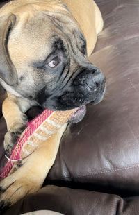 Annabelle