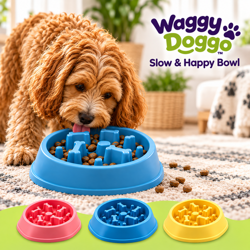 Waggy Slow & Happy Bowl